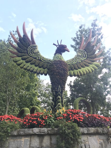 Nacktes geleaktes OnlyFans-Foto von Certified Lover Boy