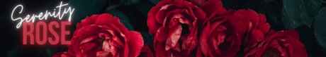 Serenity Rose