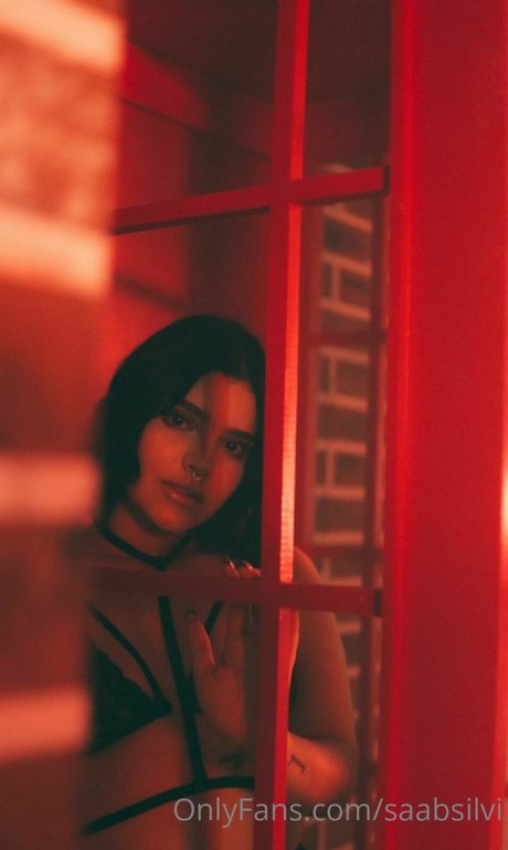 Saabsilvi