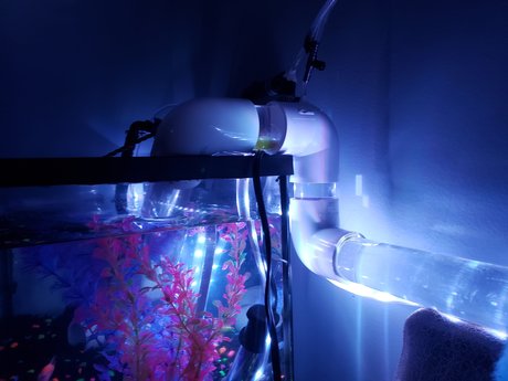 Nacktes geleaktes OnlyFans-Foto von Onlyfishfans