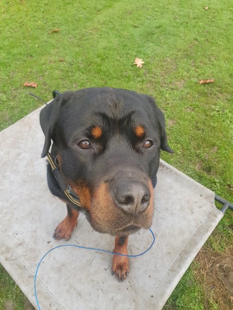 Nacktes geleaktes OnlyFans-Foto von Silkin Day