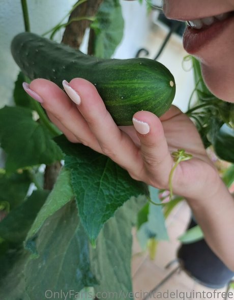 Vecinitadelquintofree