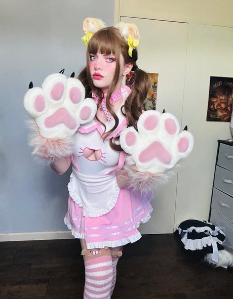 Thecutestkittycat