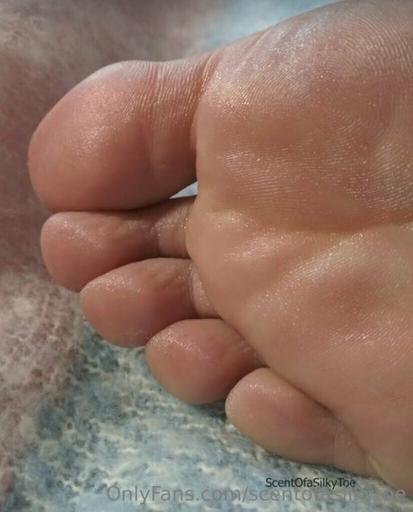 Scentofasilkytoe