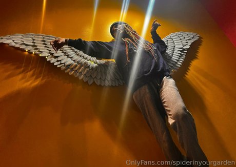 Spiderinyourgarden