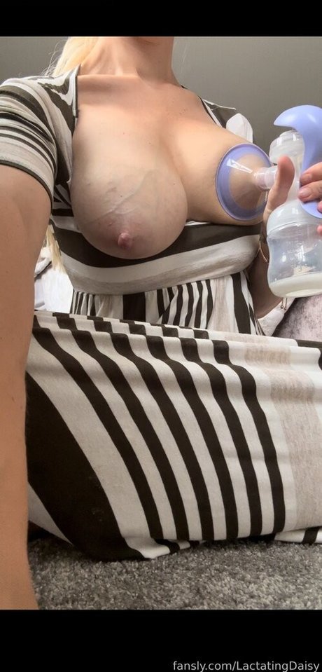 Lactatingdaisy