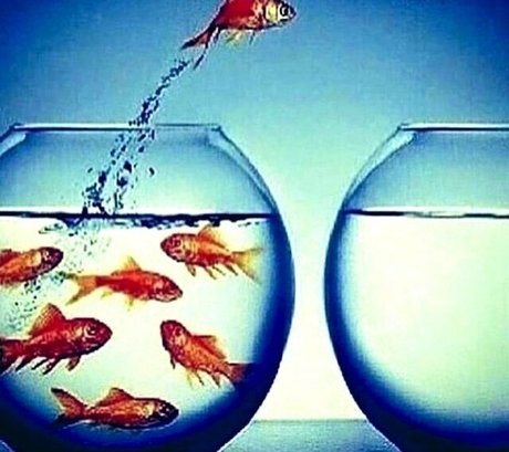 Kendall Jenner Ai Porn