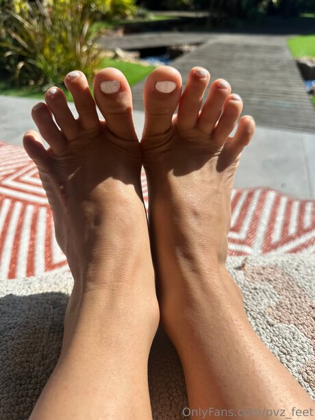 Pvz Feet