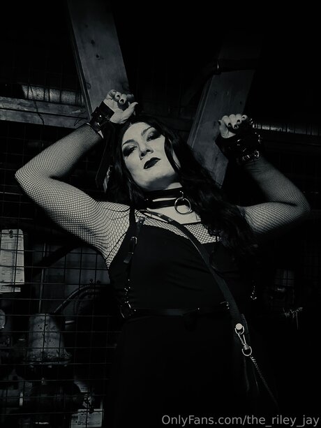 The Riley Jay