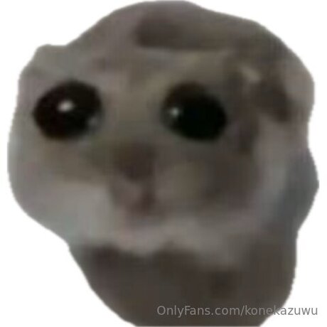 Konekazuwu