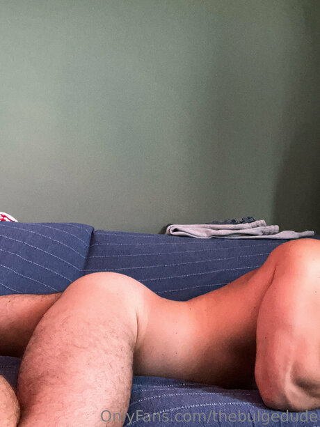 Thebulgedude