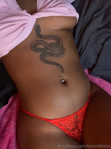 Bunniibiites