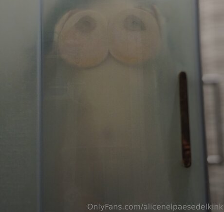 Alicenelpaesedelkink