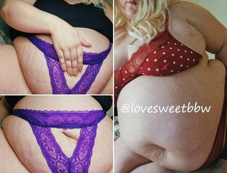 Thebbwbible