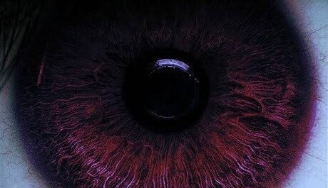 Your Friendly Neighborhood Trans Fem Boi