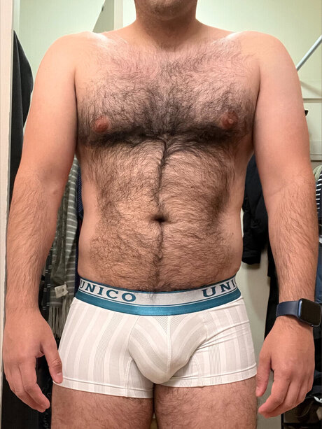 Bear Underwear