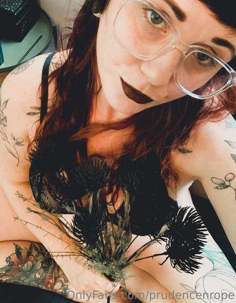 Prudencenrope