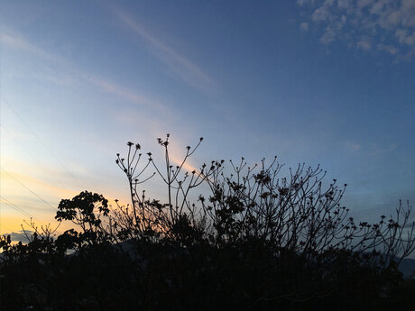 Nacktes geleaktes OnlyFans-Foto von Jp