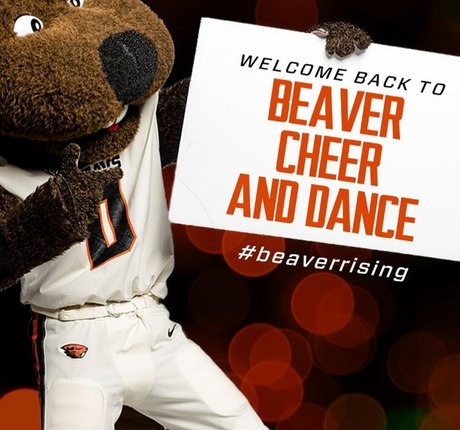 Taylor Johnson Cheer