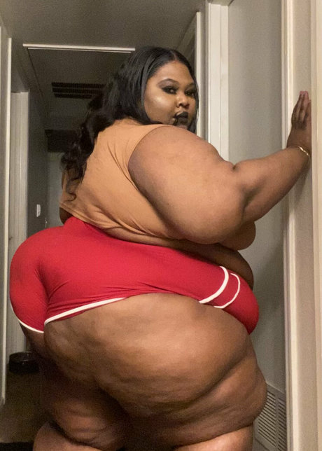 Ssbbwerotika