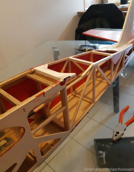 Nacktes geleaktes OnlyFans-Foto von Avrilvixxxen