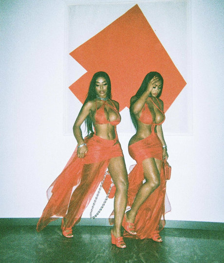Theclermonttwins