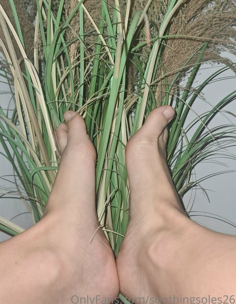 Soothingsoles26