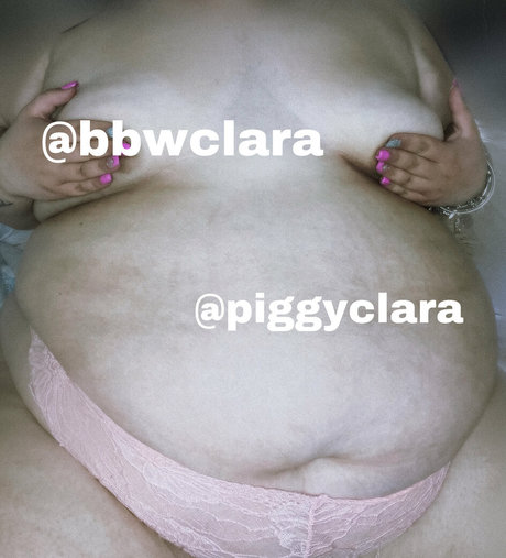 Piggyclara