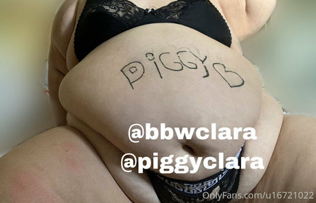 Piggyclara