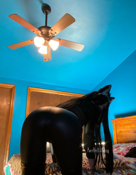 Purrfectlilpussy