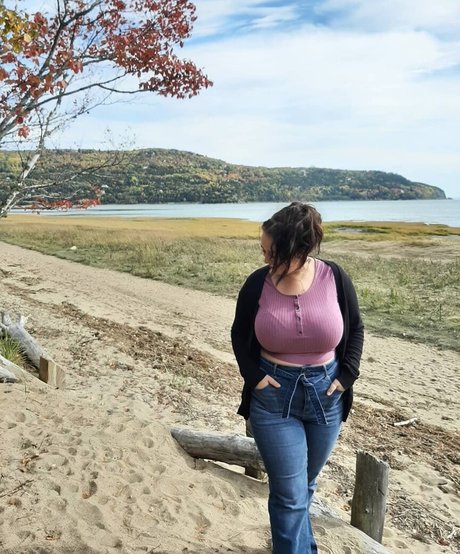 Lartdanstoutessesformes