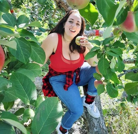 Lartdanstoutessesformes