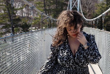 Lartdanstoutessesformes