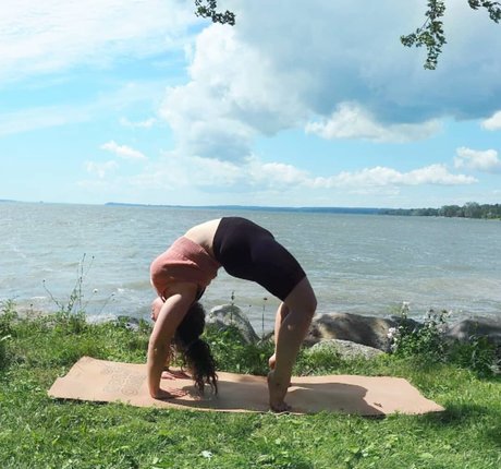 Lartdanstoutessesformes