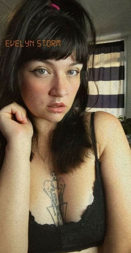 Evelynstorm