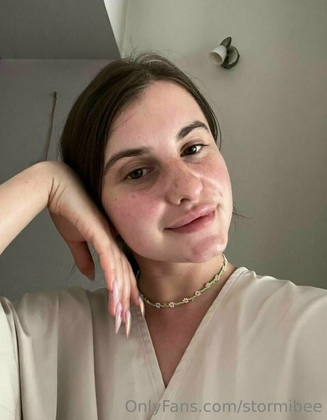 Stormibee