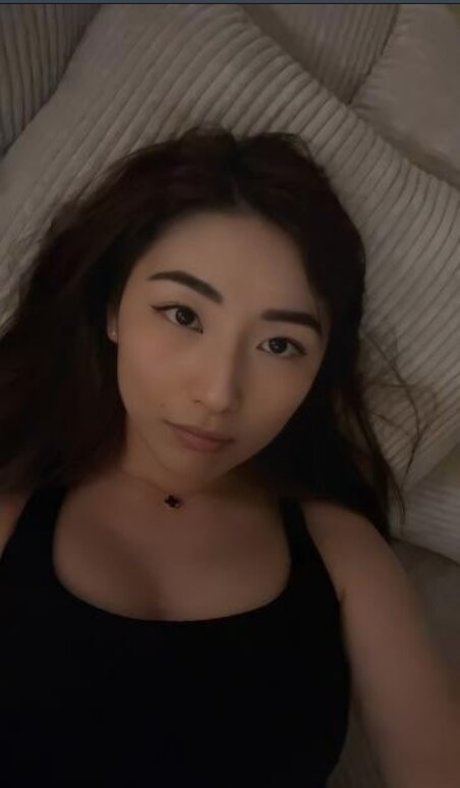 Xchocobars