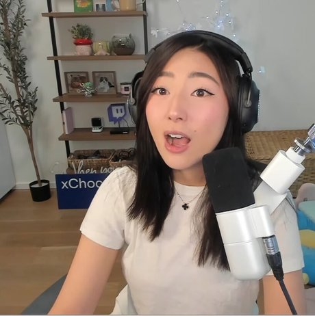 Xchocobars