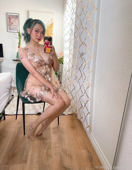Harrietsugarcookie
