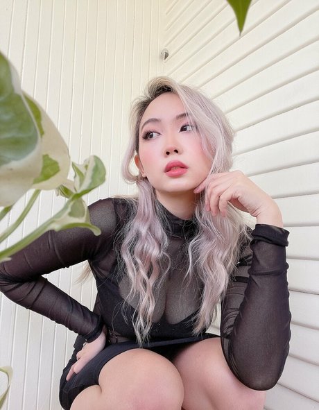 Harrietsugarcookie