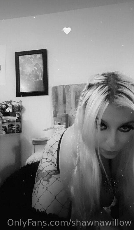 Shawnawillow