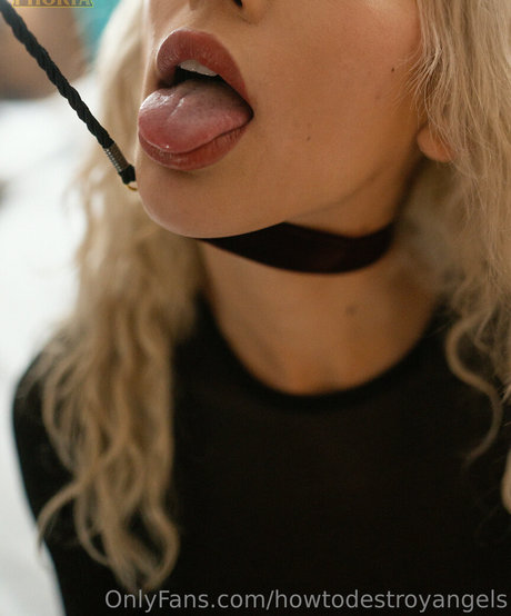 Howtodestroyangels