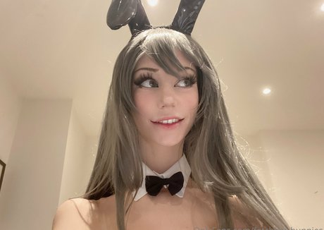 Fetchingbunnies