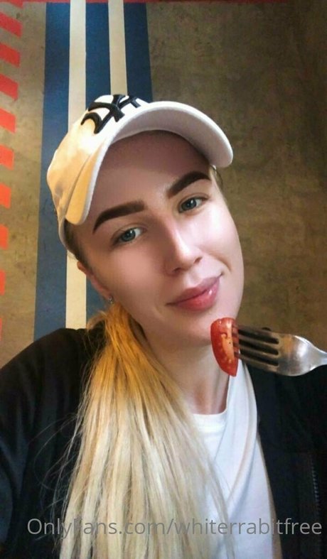 Whiterrabitfree