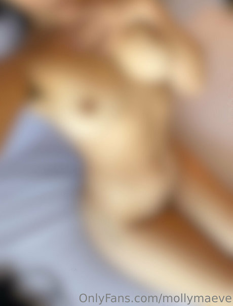 Mollymaeve