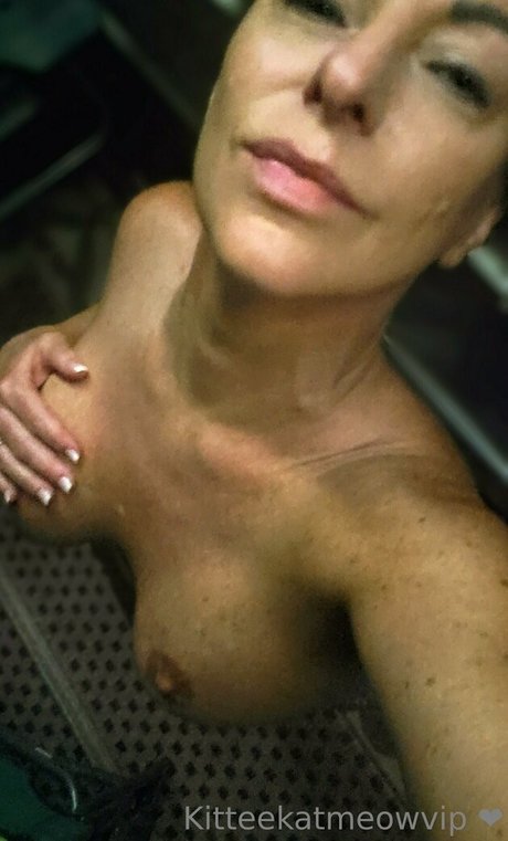 Kitteekatmeowvip