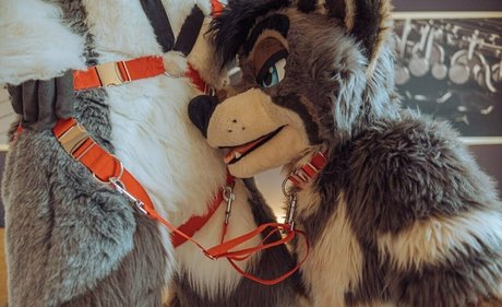 Nacktes geleaktes OnlyFans-Foto von Afterneigh