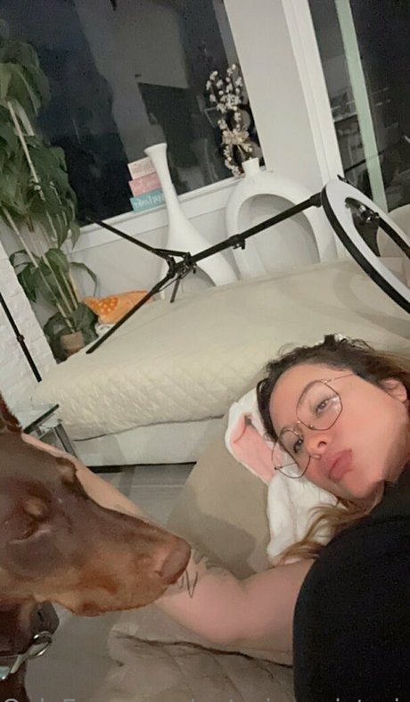 Notoriousvictorious2