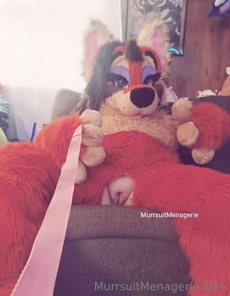Murrsuitmenagerie