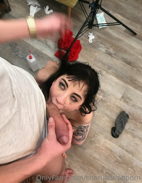 Charliedeanporn